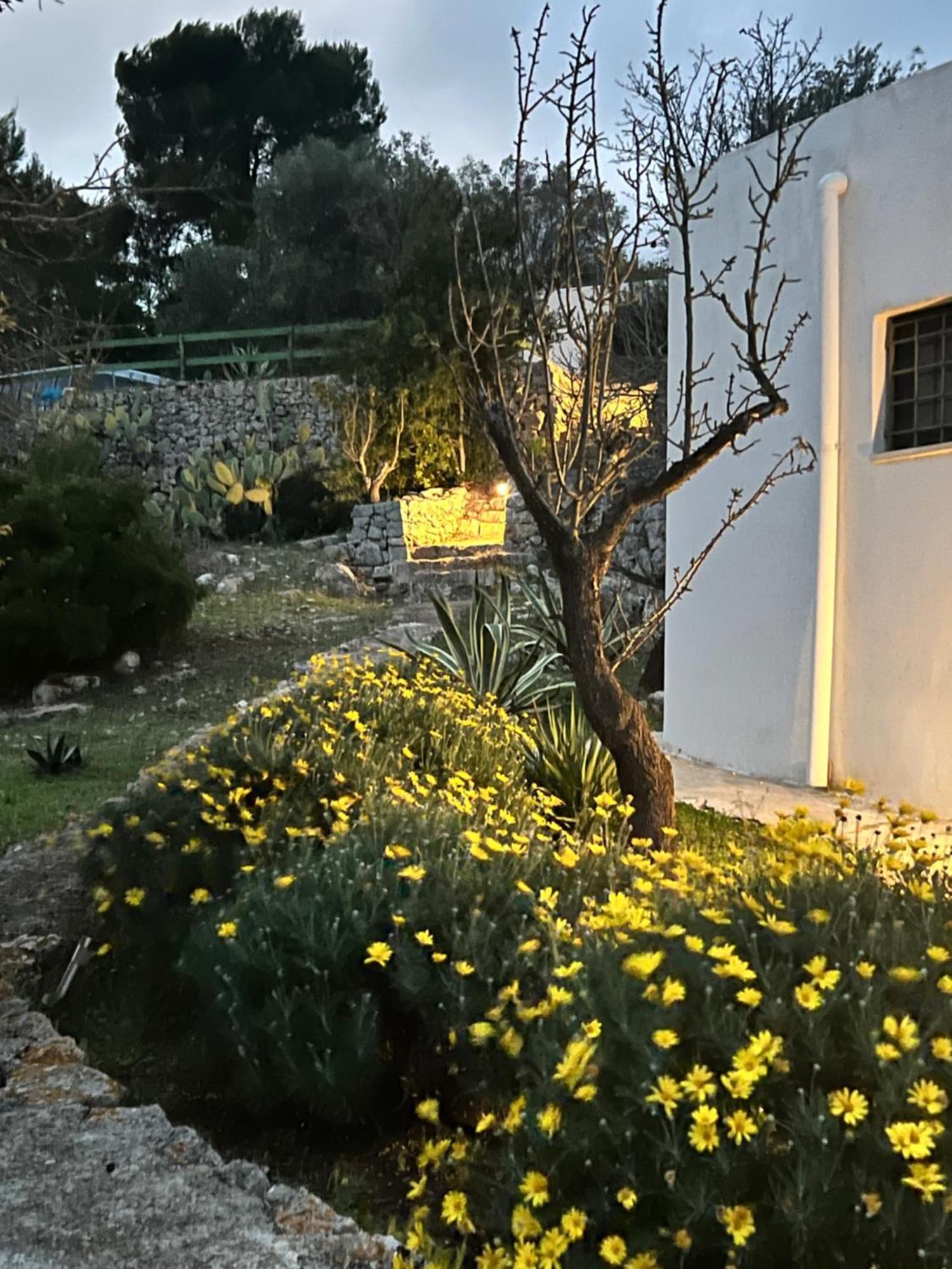 Hotel Syconium Trullo And Lamia Gea Charme And History Ostuni Zewnętrze zdjęcie