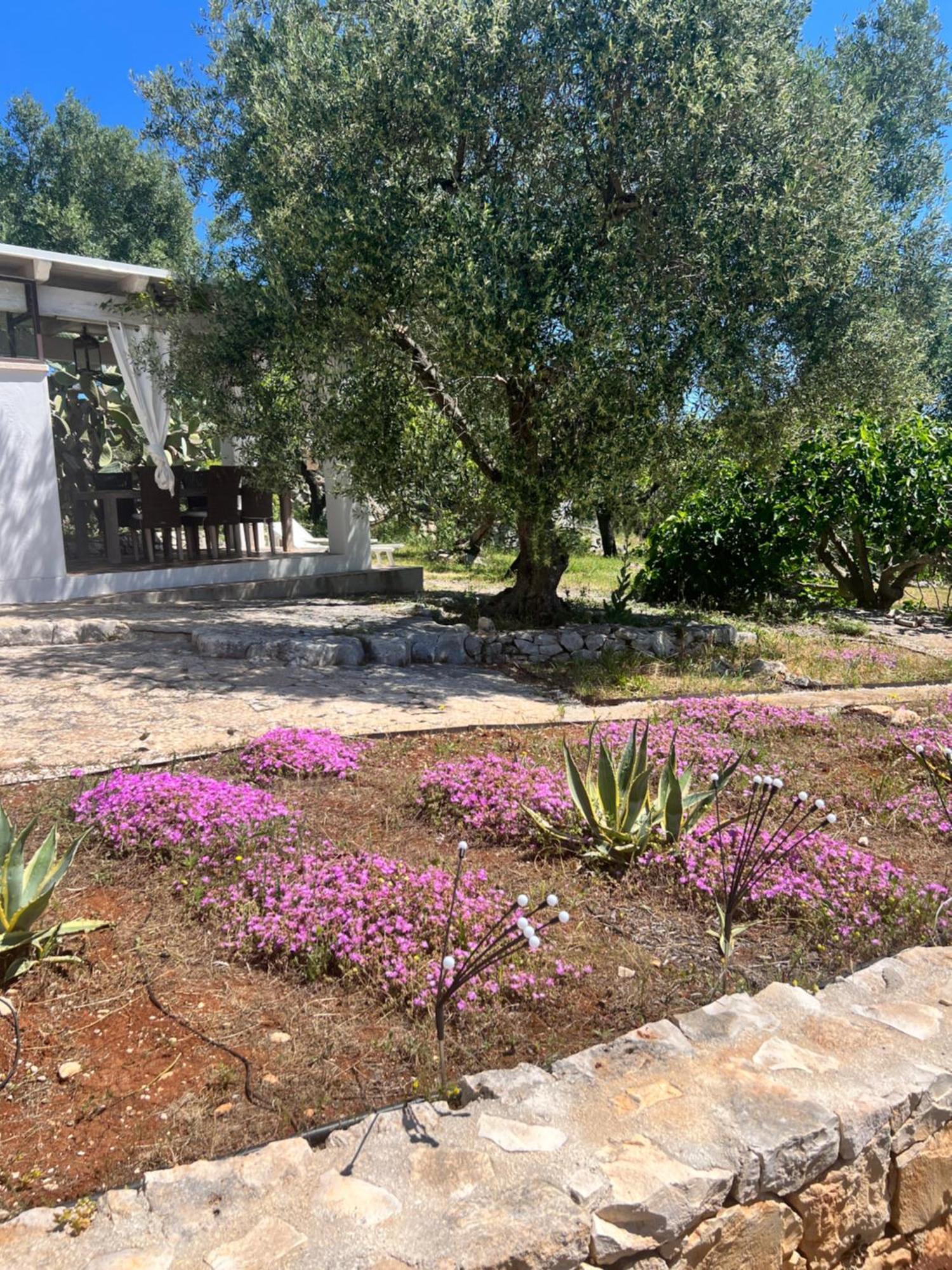 Hotel Syconium Trullo And Lamia Gea Charme And History Ostuni Zewnętrze zdjęcie